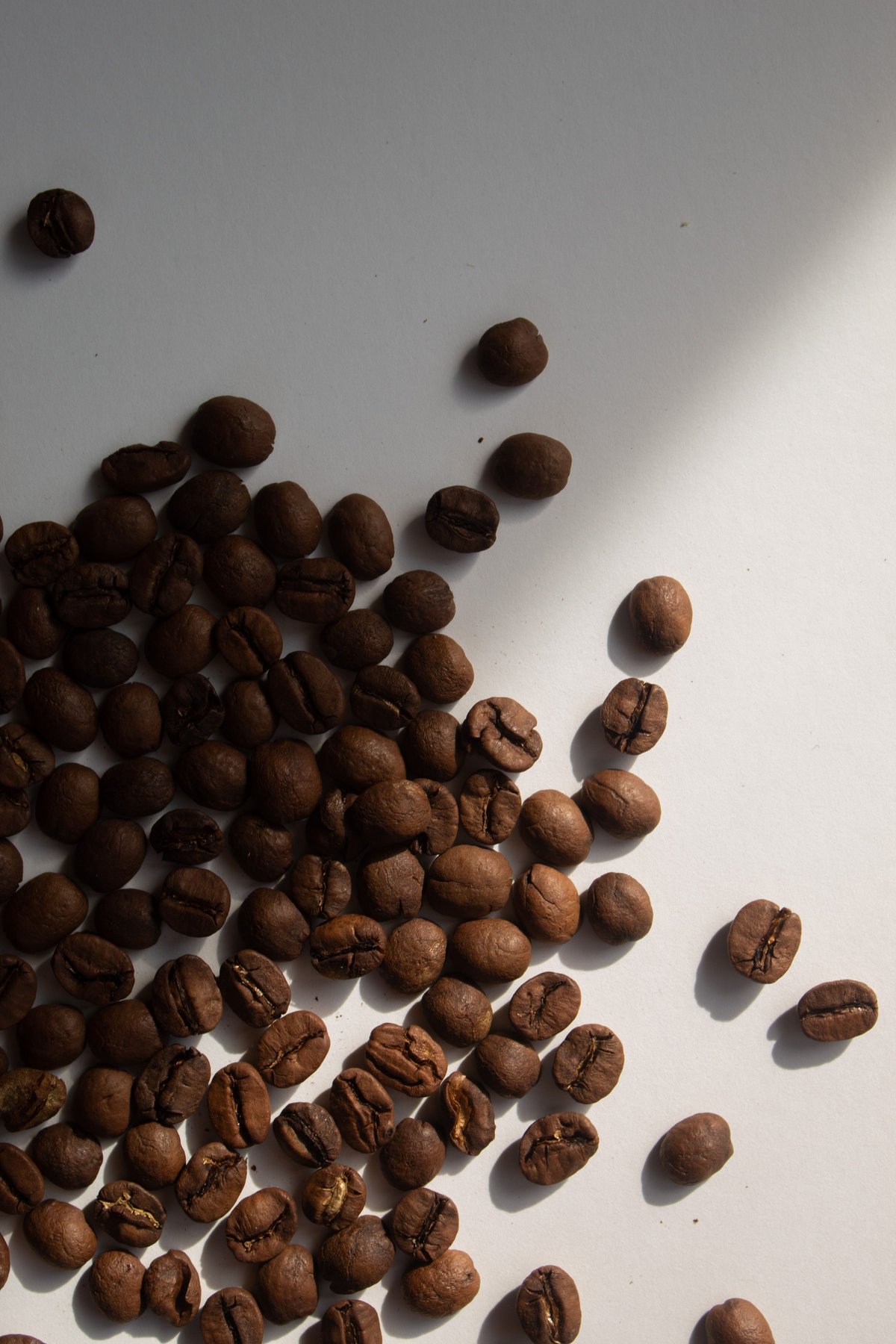 Scattered roasted coffee beans in dramatic light